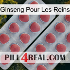 Ginseng For Kidney 19